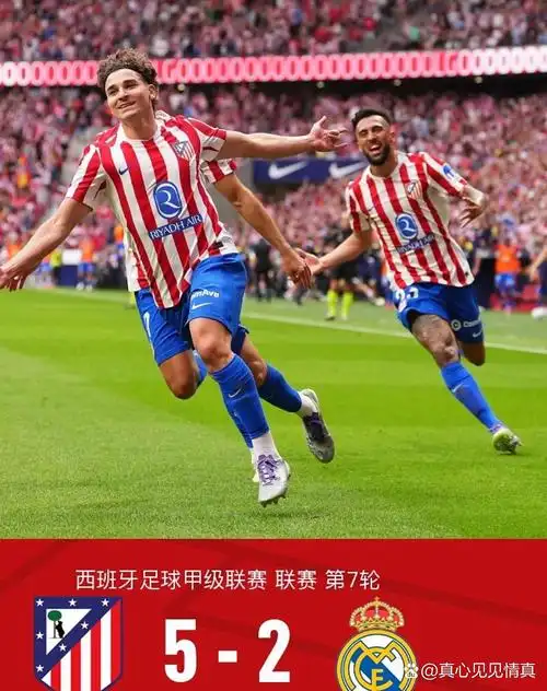 雨燕体育直播在线直播